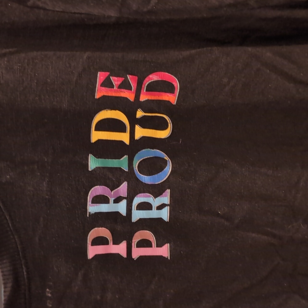 Torrid Pride Tee Shirt 4x Classic Fit